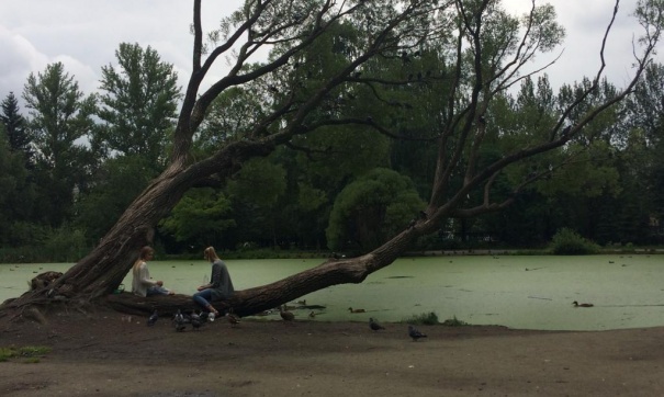 Планы власти и людей не совпадают: что нужно благоустроить в Екатеринбурге к ЭКСПО-2025