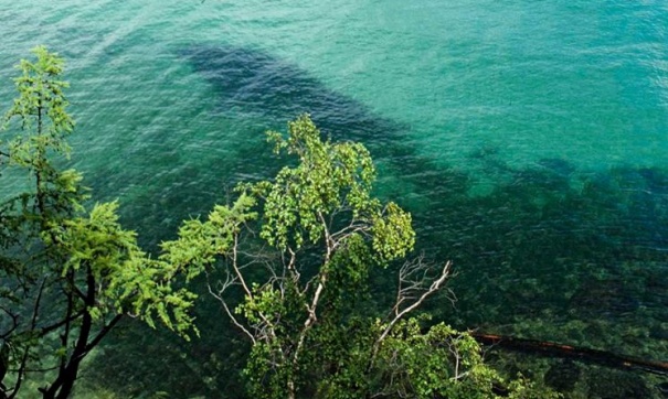 Байкал зарастает опасными водорослями