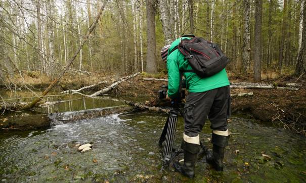 Рыба исчезла, воду пить нельзя. Как карьеры УГМК загрязняют реки на севере Свердловской области?